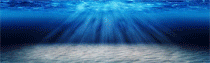 HIKARIBET logo